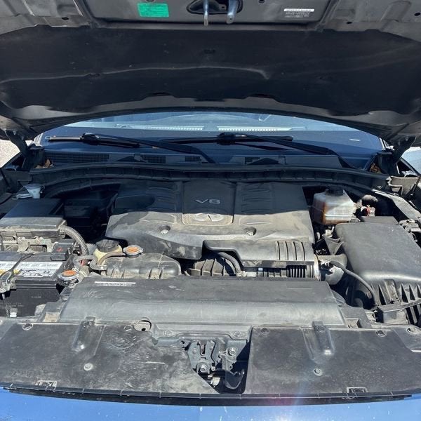 2019 INFINITI QX80 LUXE