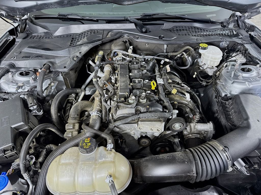 2023 Ford Mustang EcoBoost