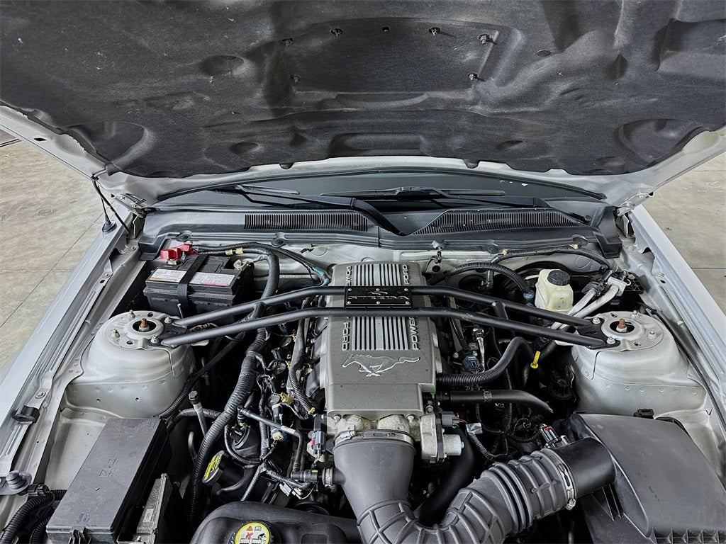 2009 Ford Mustang GT Premium